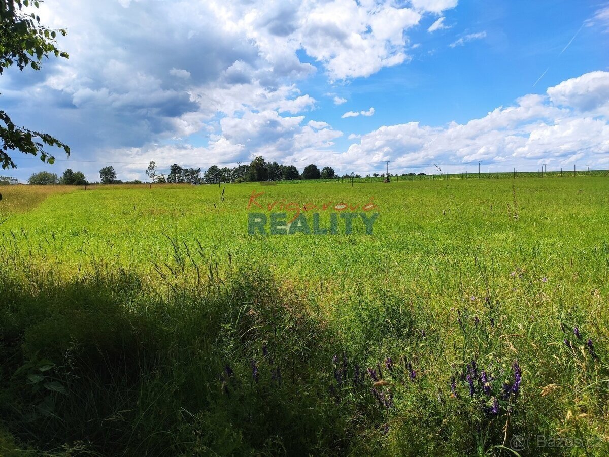 Prodej pozemku 2147m2 u Třeboně pro bydlení - 2