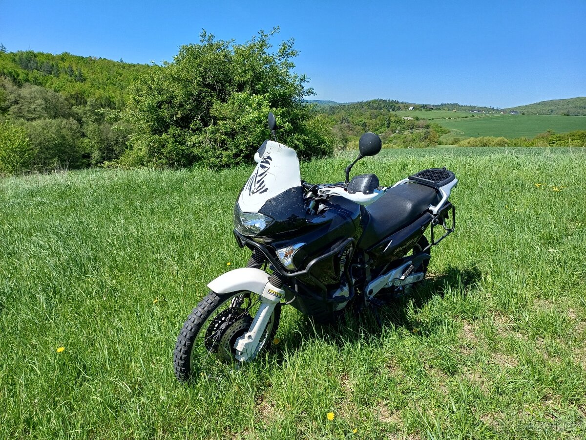 honda transalp 650