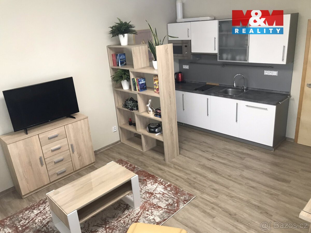 Pronájem bytu 2+kk, 48 m², České Budějovice, ul. Studentská - 2