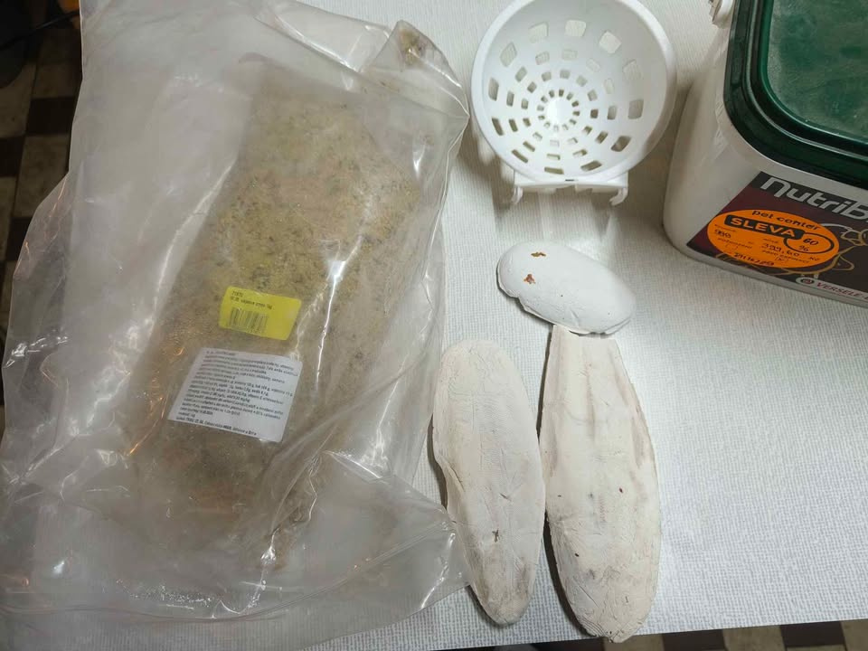 Příkrm pro papoušky,sepiová kost,budky - 2