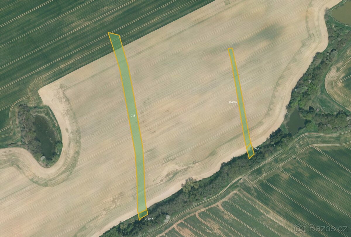 Zemědělská půda, prodej, Vlastiboř, Tábor - 2