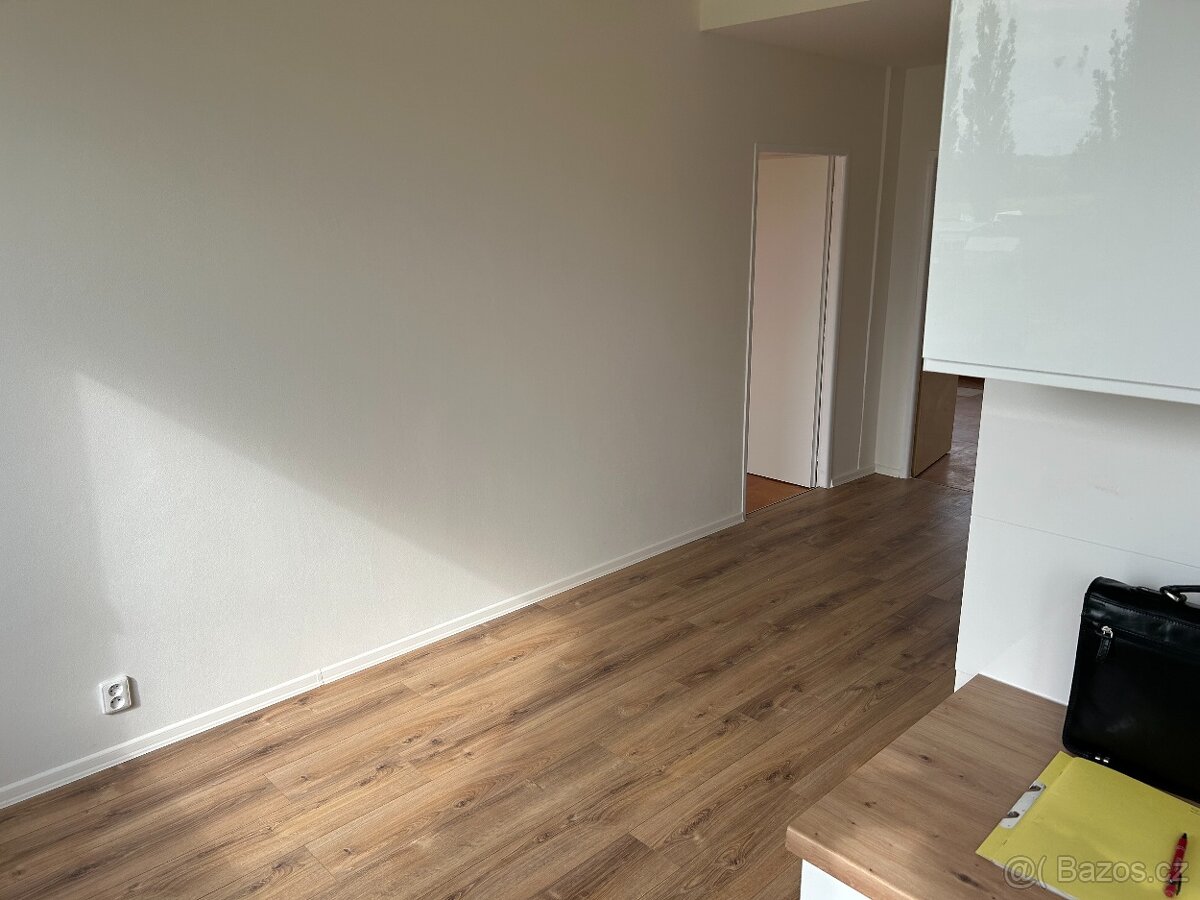 pronájem bytu 2+1 - 2