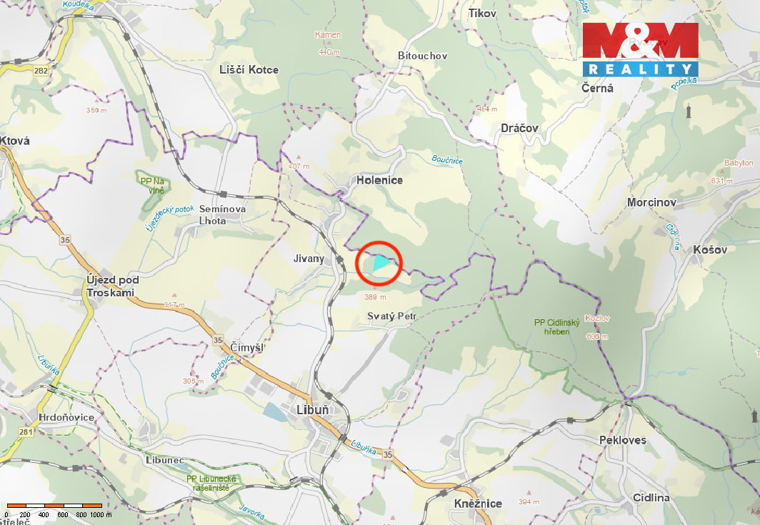 Prodej lesa, 15253 m², Libuň - 2