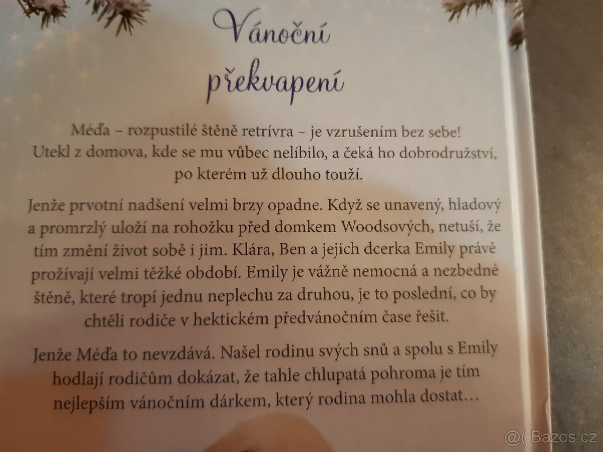 Vánoční překvapení TOP STAV - 2