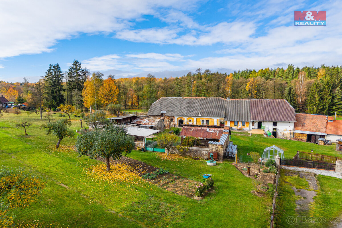 Prodej zemědělské usedlosti, 10050 m², Příbram - 2
