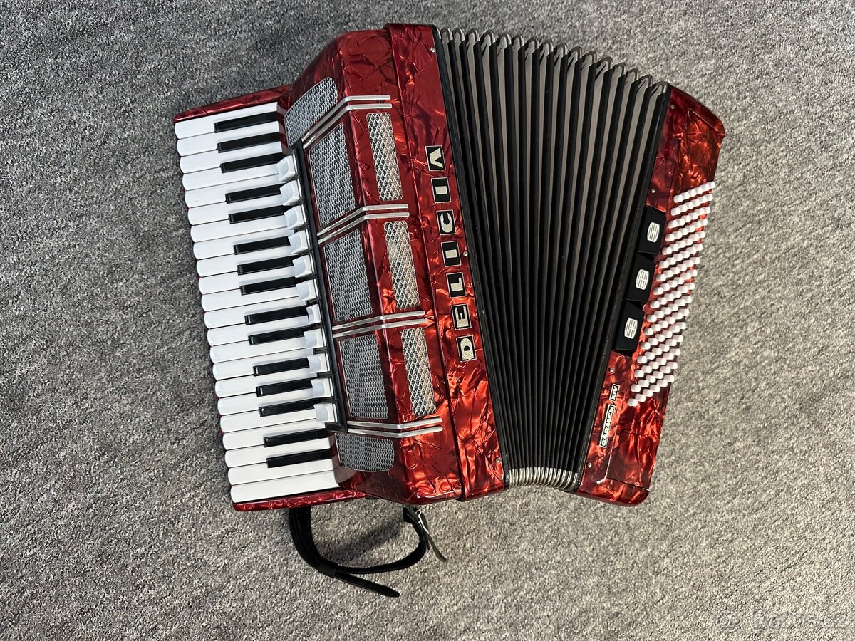 Akordeon, Harmonika - 2