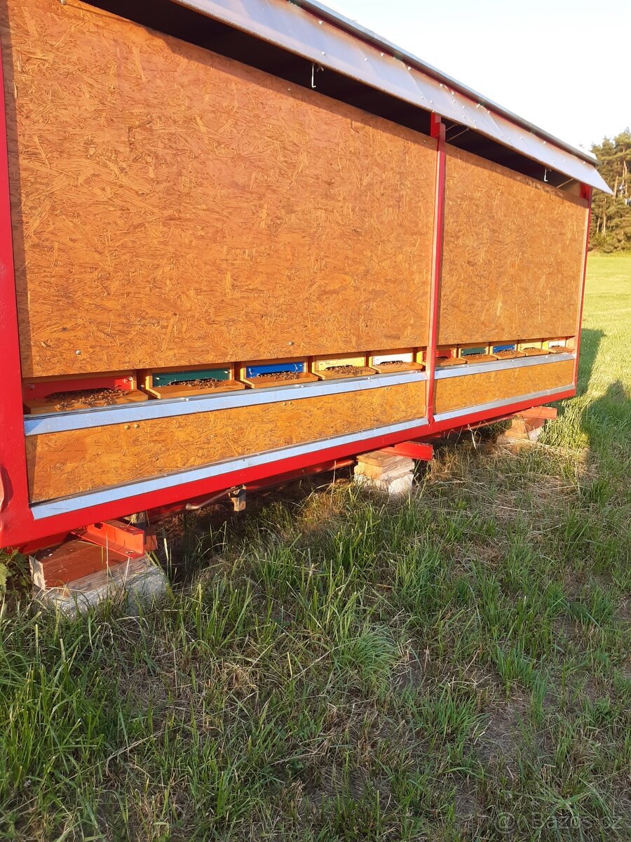 Vyzimované včelí oddělky - včelstva - 2