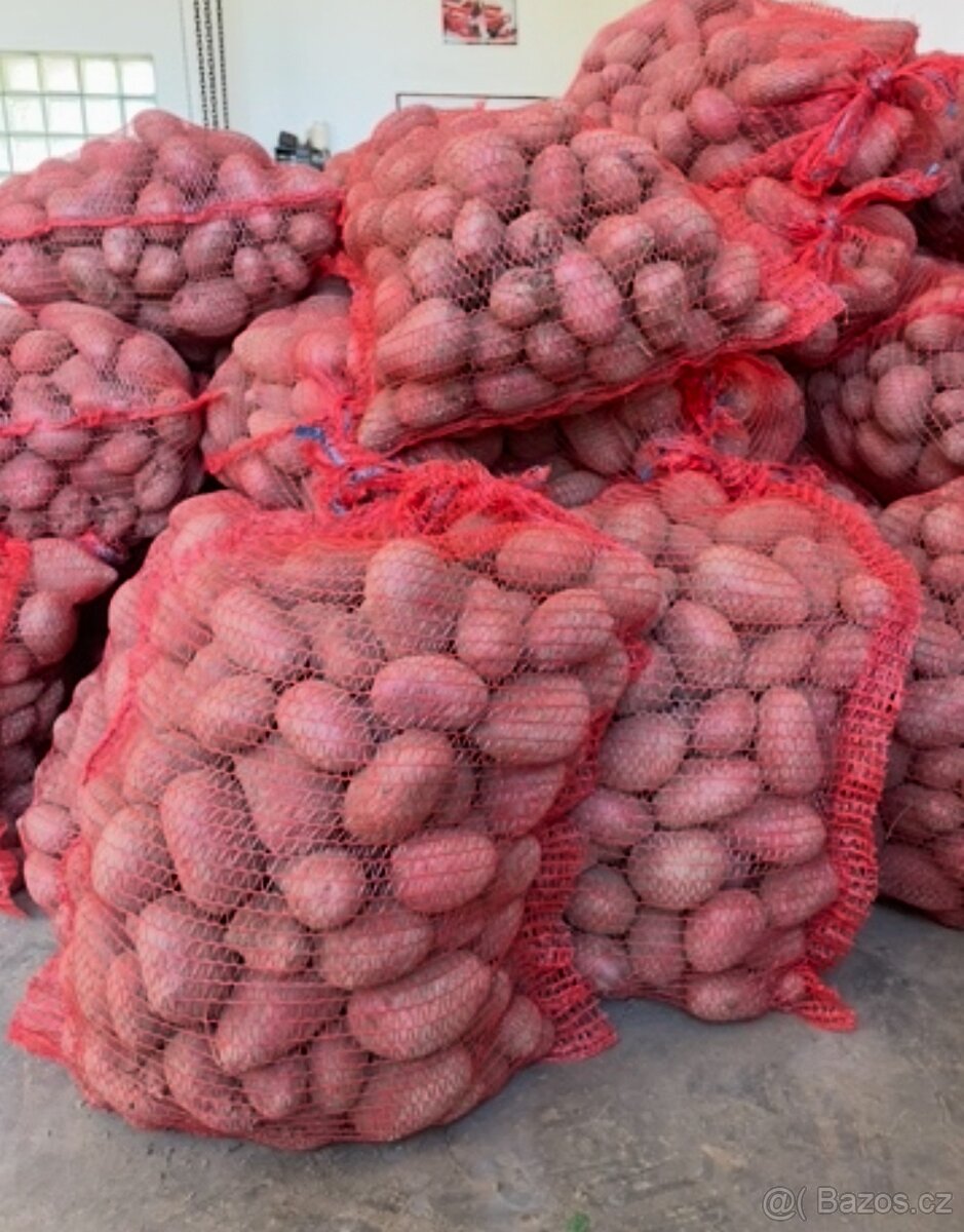 Domácí brambory na uskladnění - 2