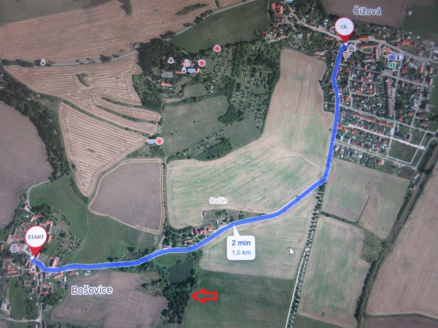 NA PRODEJ - POZEMKY 2.006 m2, BOŠOVICE U ČÍŽOVÉ (PÍSECKO) - 2