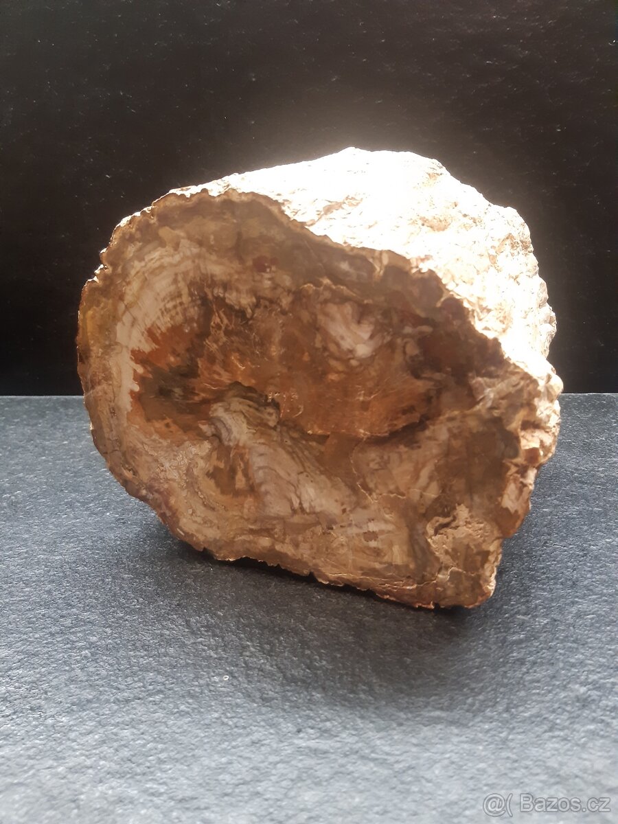 zkamenělé dřevo 7,9 kg - 2