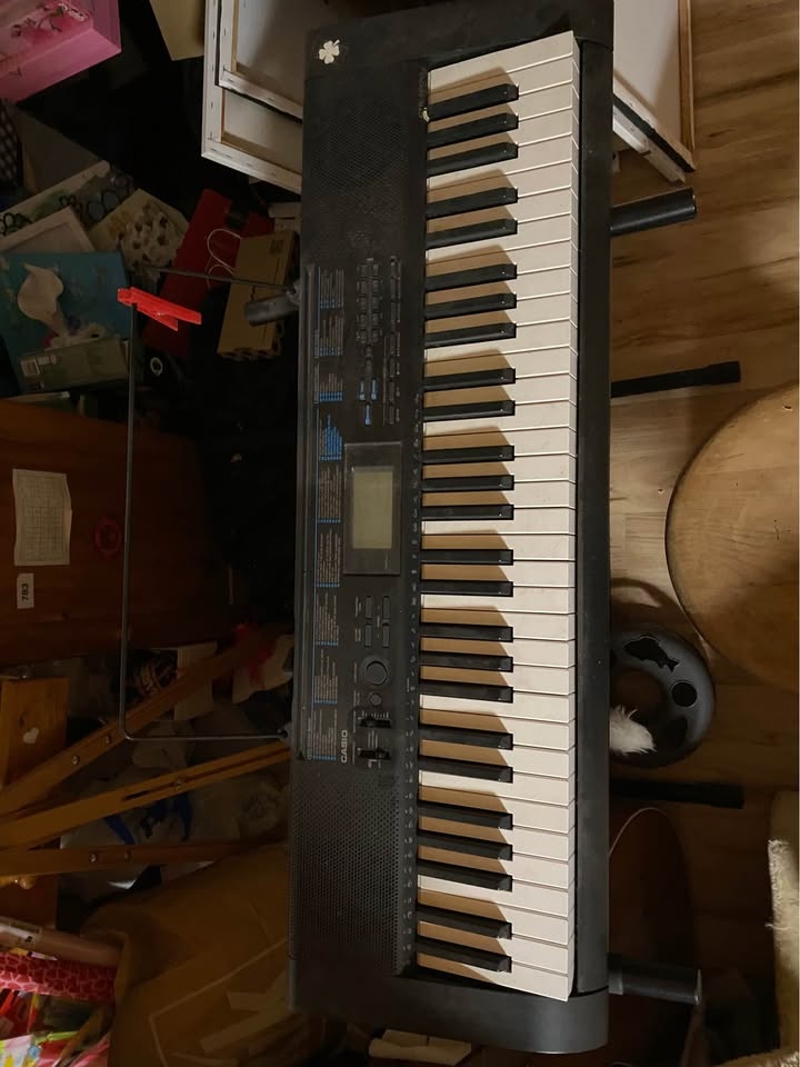 Klávesy, Casio CTK-1200 - 2