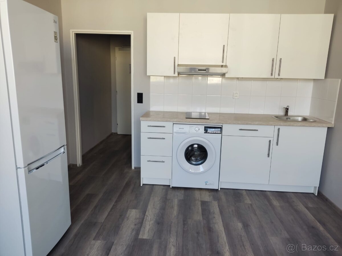 Pronájem Bytu 1+kk Praha Děčínská Střížkov Praha 8 - 2
