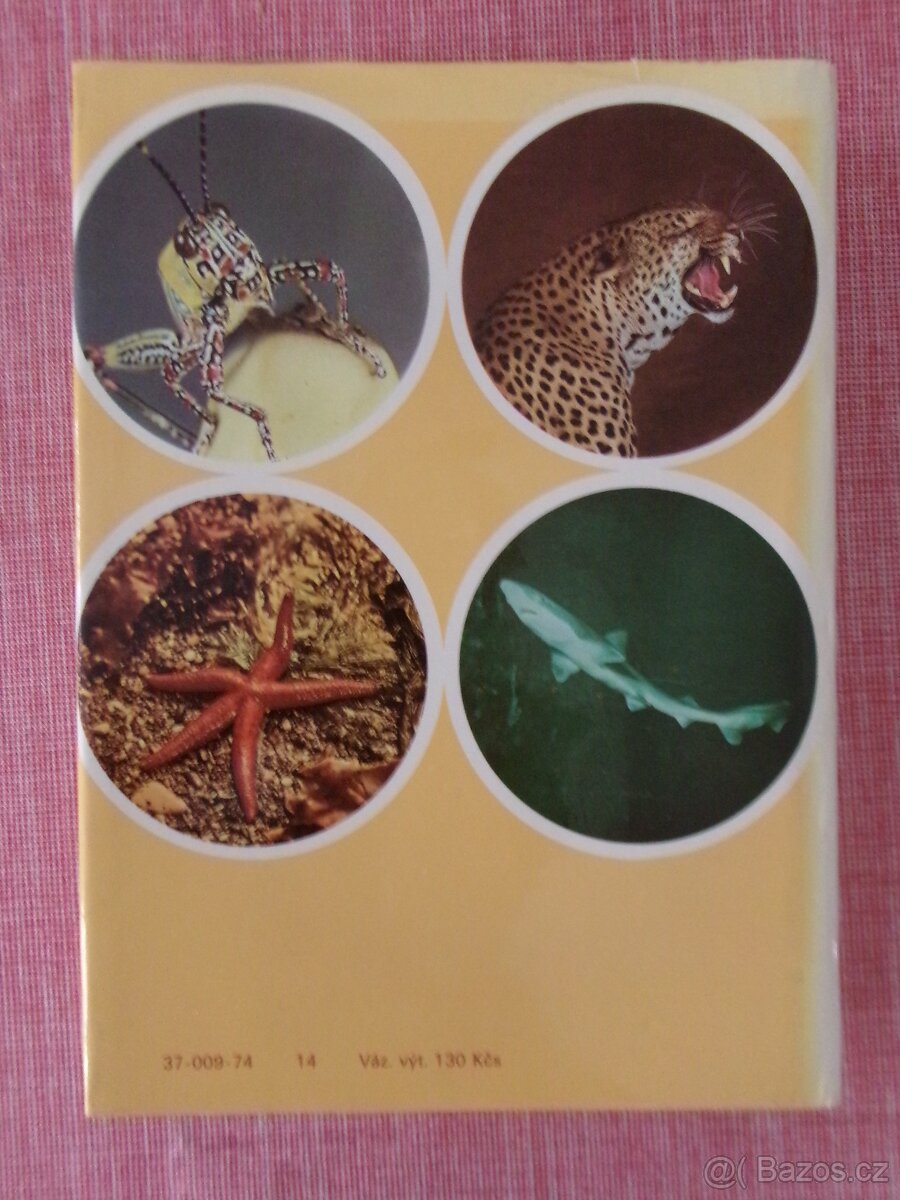 Od agamy po žraloka: Velký ilustrovaný slovník... - 2