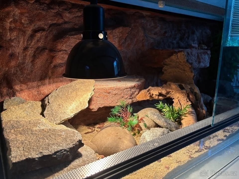 Terárium 120x50x50 s australským pozadím - 2