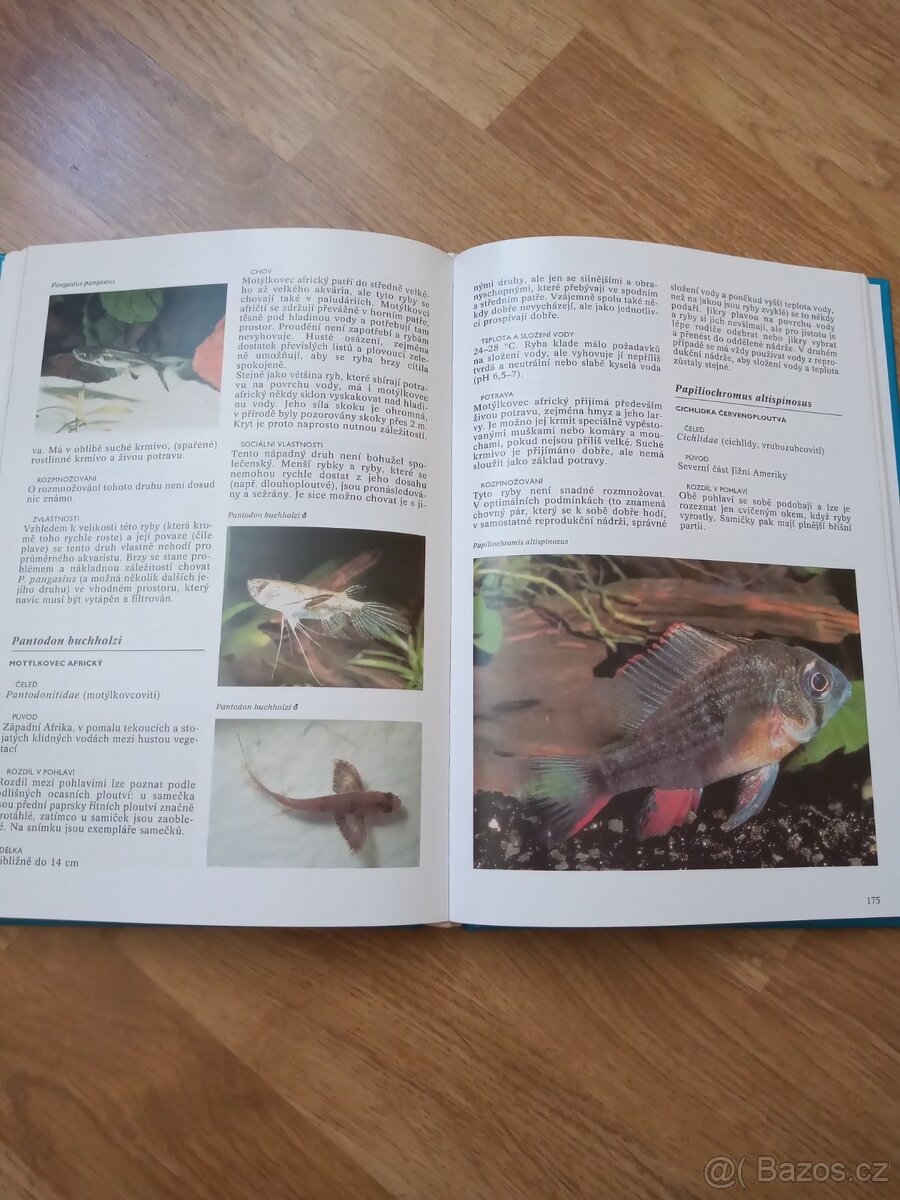 Encyklopedie akvarijních ryb - 2