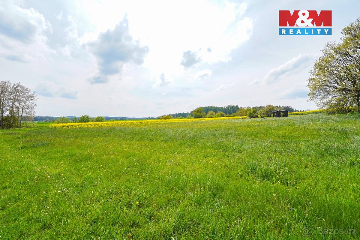 Prodej pole, 6672 m², Pláň, Ostrov u Bezdružic - 2