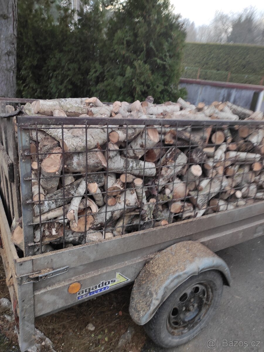 suché dřevo - 2