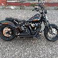 Harley Davidson Cross Bones - 2