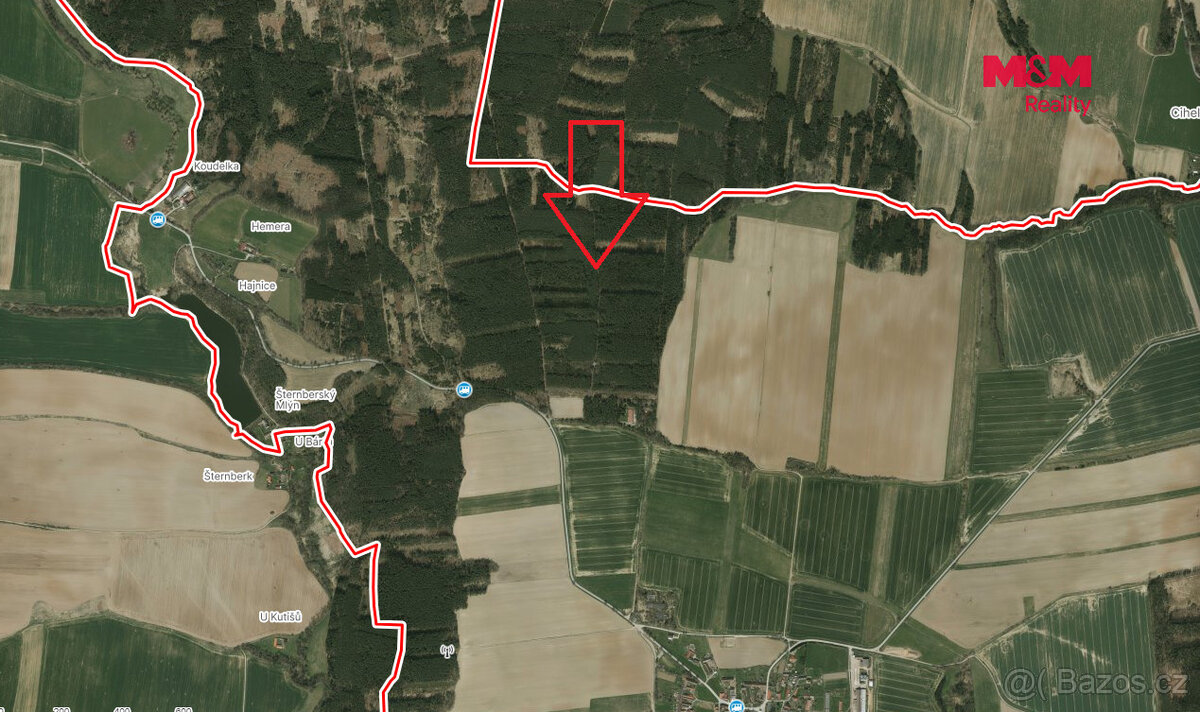 Prodej lesa, 4751 m², Bechyně - 2