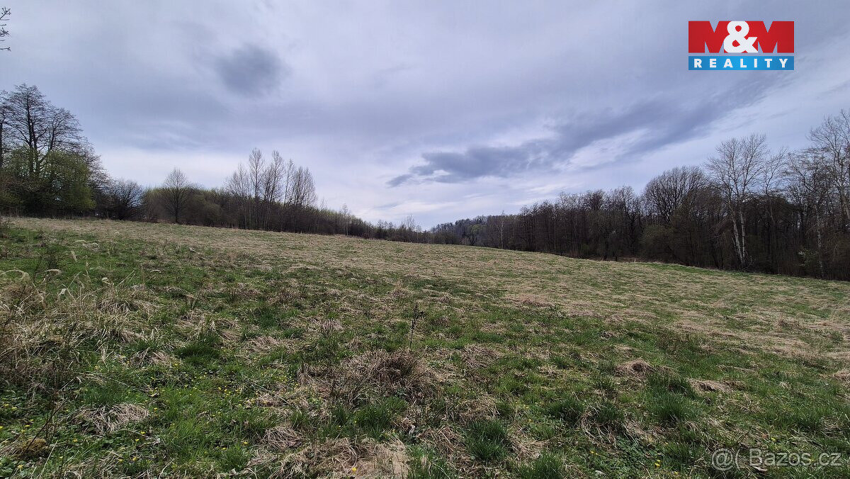 Prodej louky 22 628 m² Česká Kamenice – Dolní Kamenice - 2