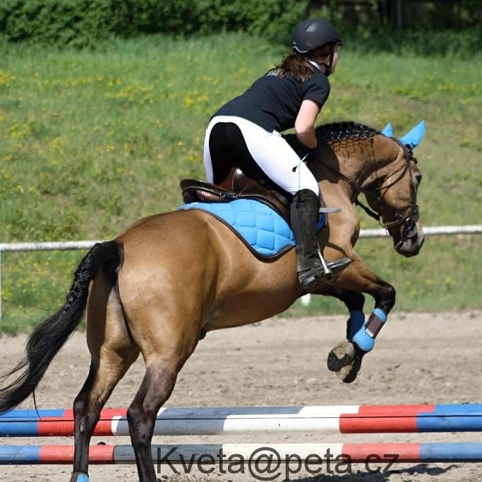 Anglicke sedlo - 2