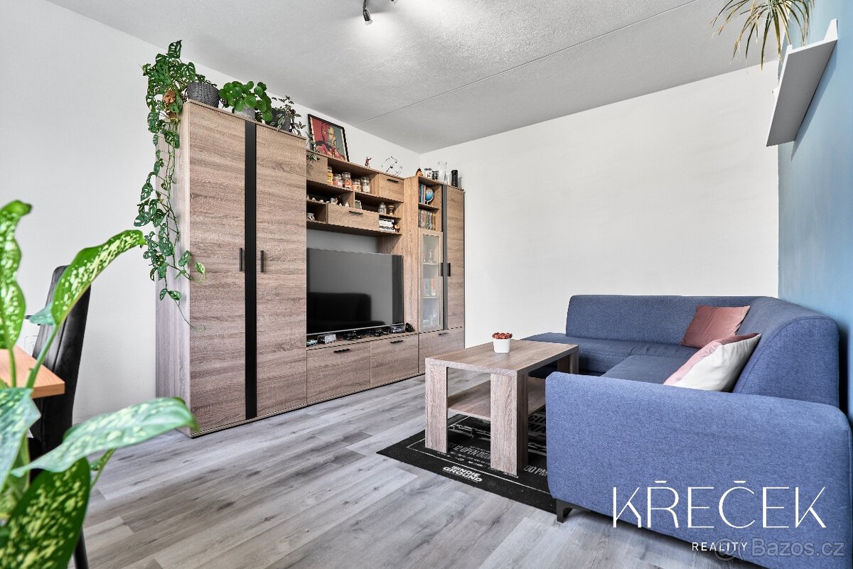 Pronájem bytu 2+1 v Třebíči - 2