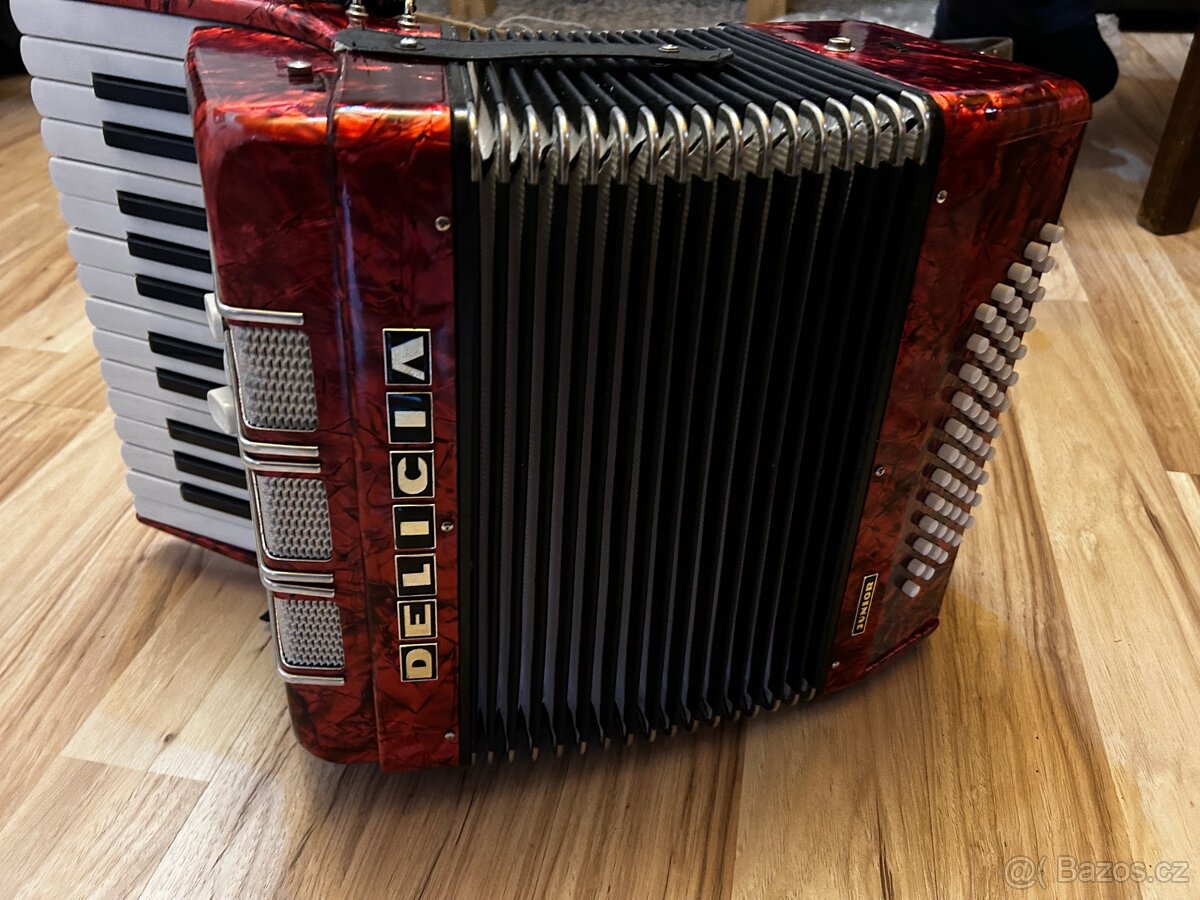 Akordeon Delicia Junior - 2