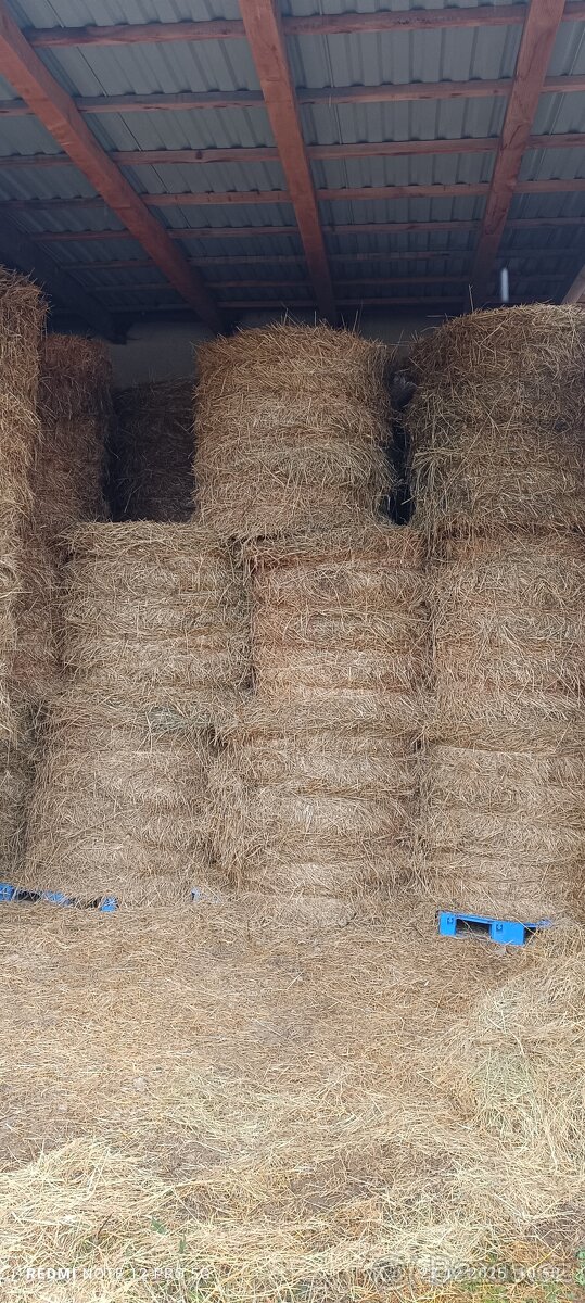 Prodej sena - 2