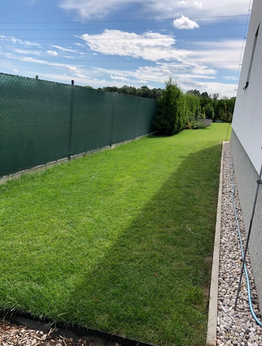 Travni koberec 40m2 - 2