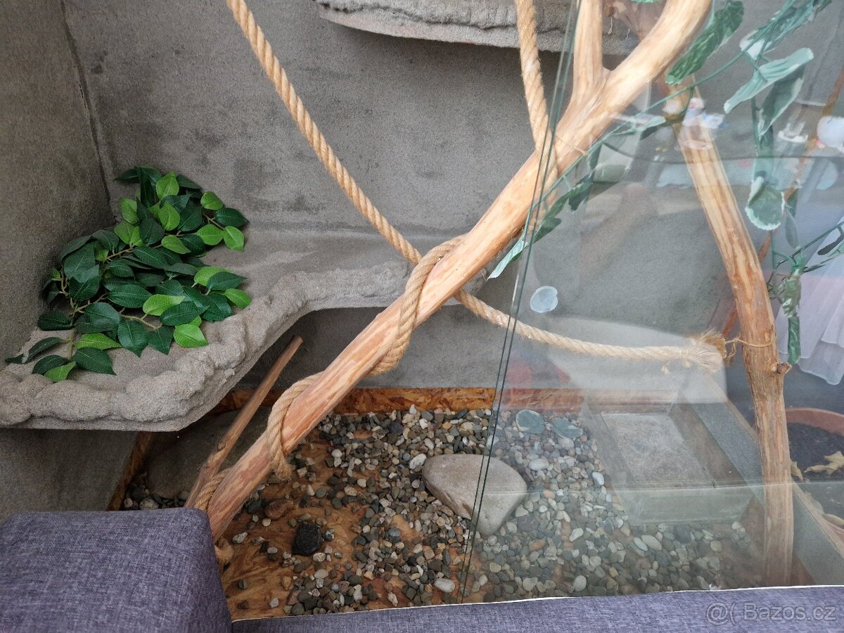 Terárium - 2