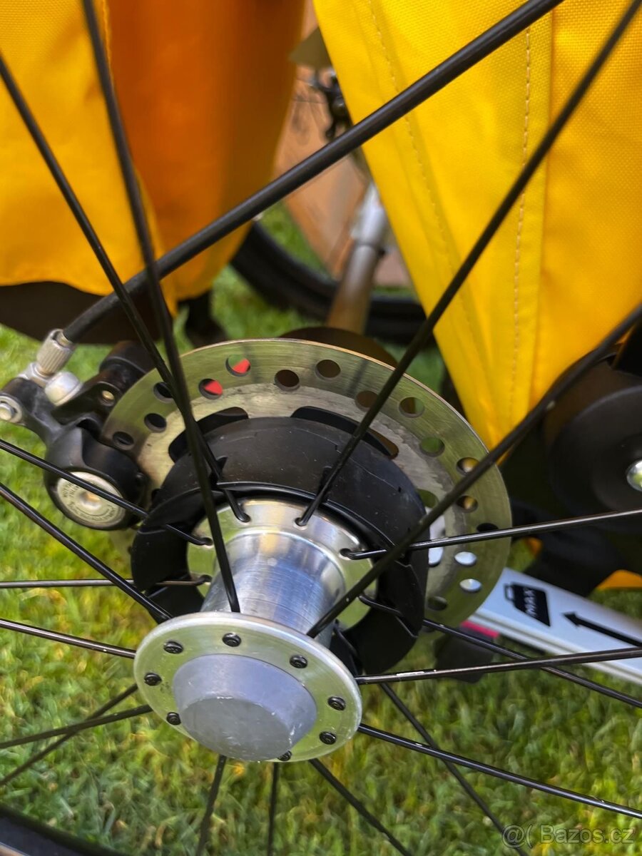 Thule Chariot - 2