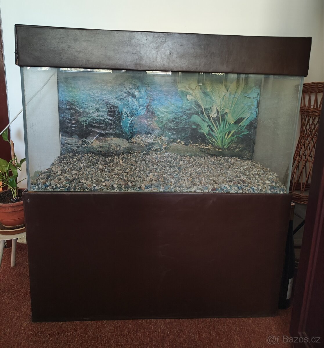 Terárium za odvoz - 2