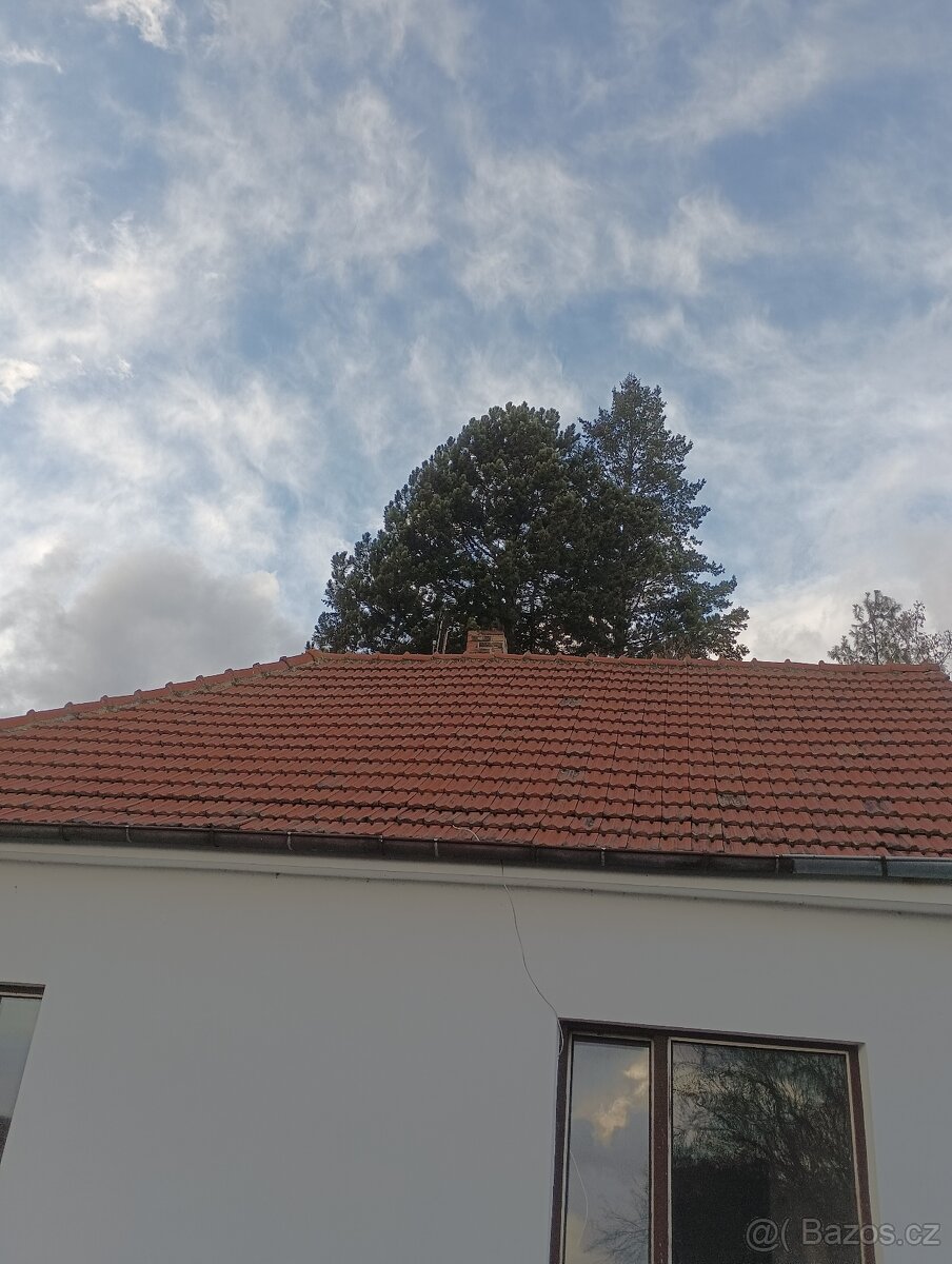Daruji střechu za rozebrání - 2