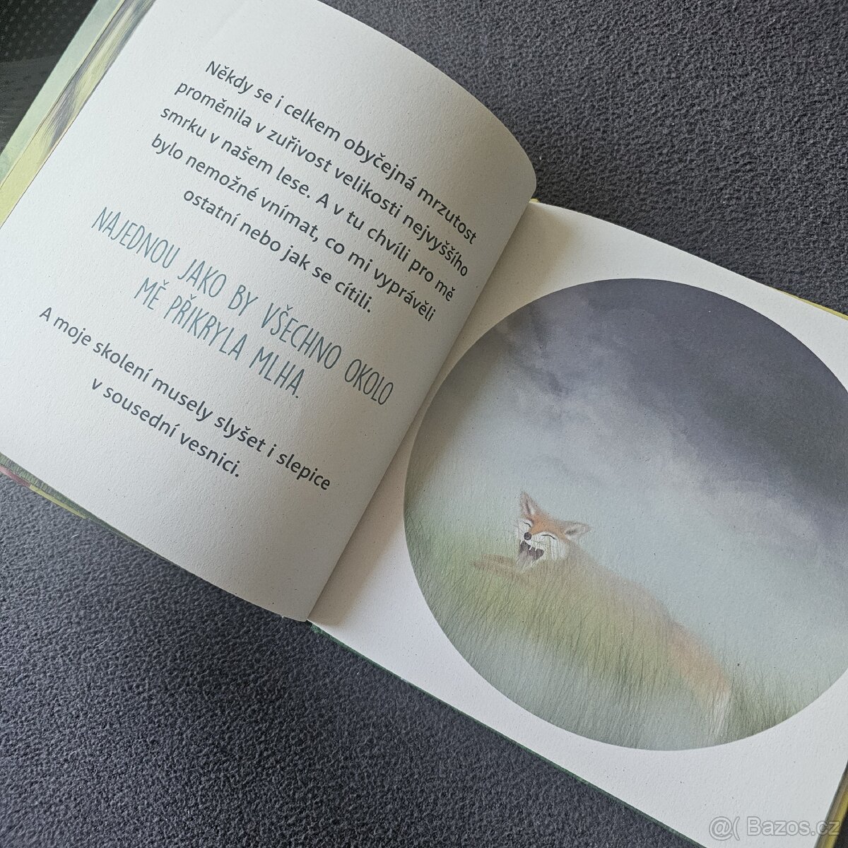 Já a pan hněv - Iryna Zelyk - 2