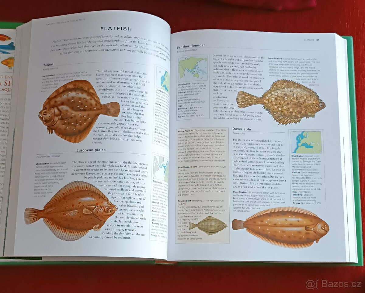 Derek Hall, Amy-Jane Beer, Daniel Gilpin - 2