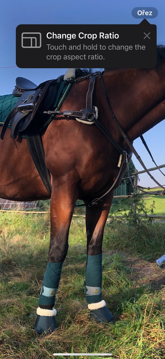 Vybavení na koně - 2