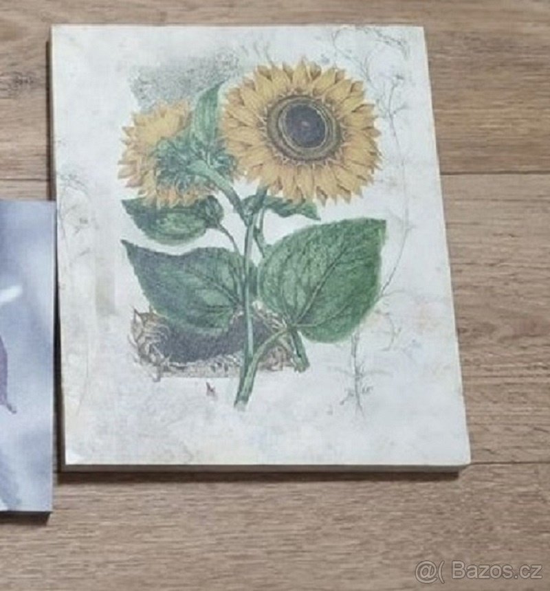 Obrazy v dřevěných rámech - 2