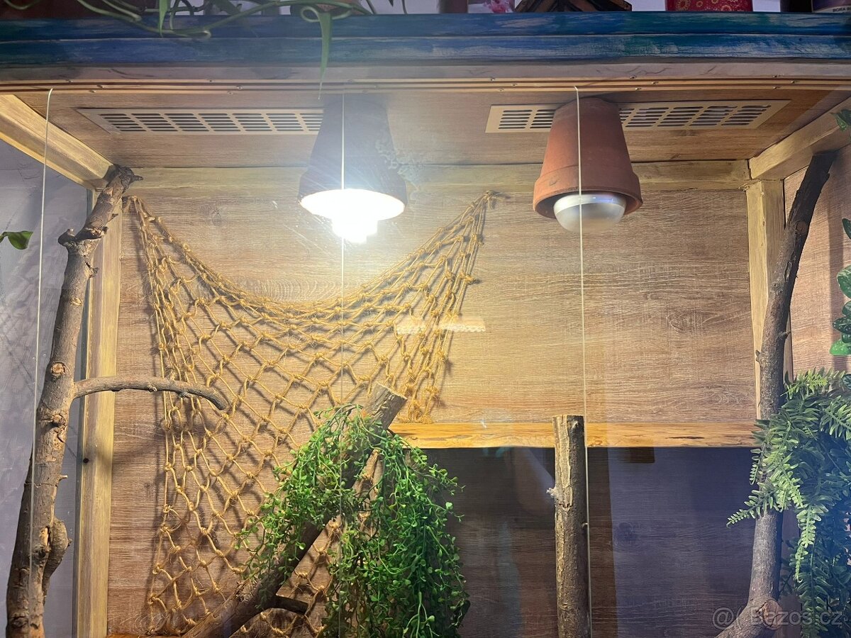 Terárium 120x50x120cm - 2