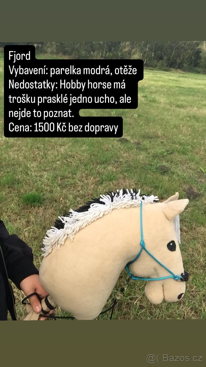Hobby Horse - 2