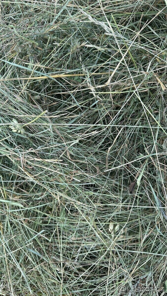 Kvalitní loňské seno - 2