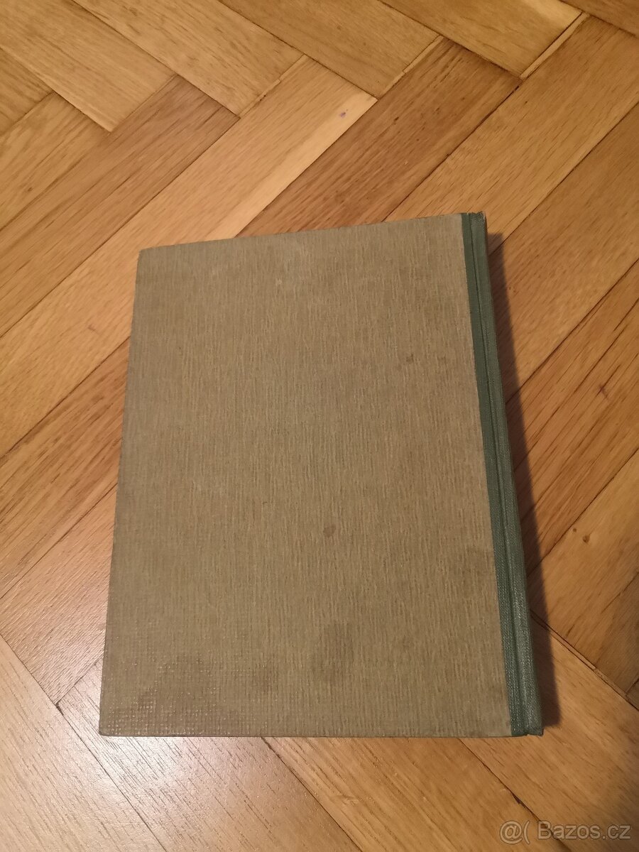 Stefan Gebarski: Tatranský Robinson (1919) - 2