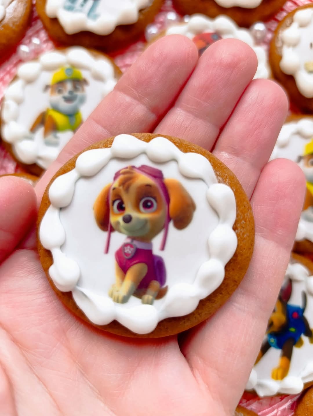 Tlapková patrola - 2