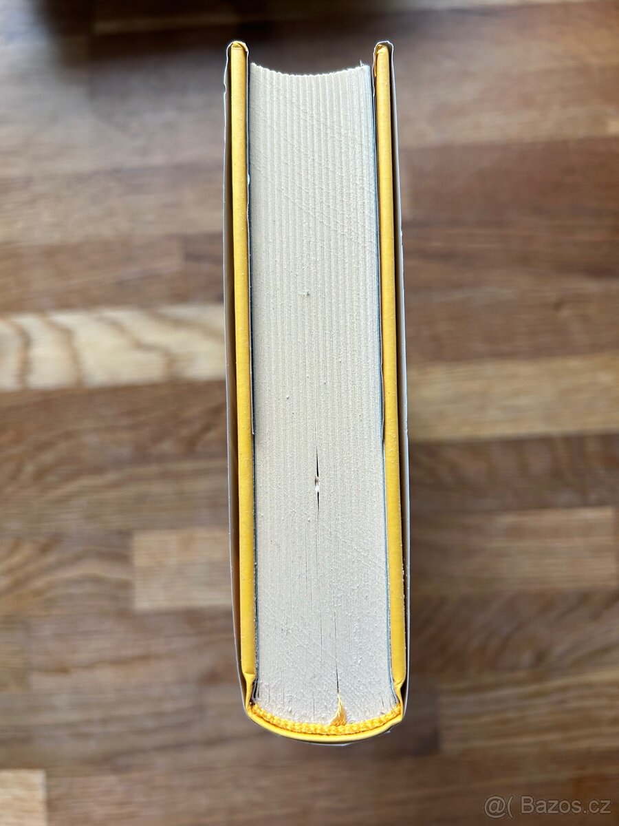 Kniha: Serafina a černý plášť - 2