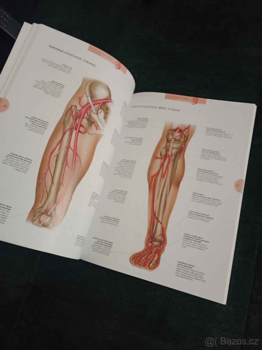 Atlas lidského těla - 2