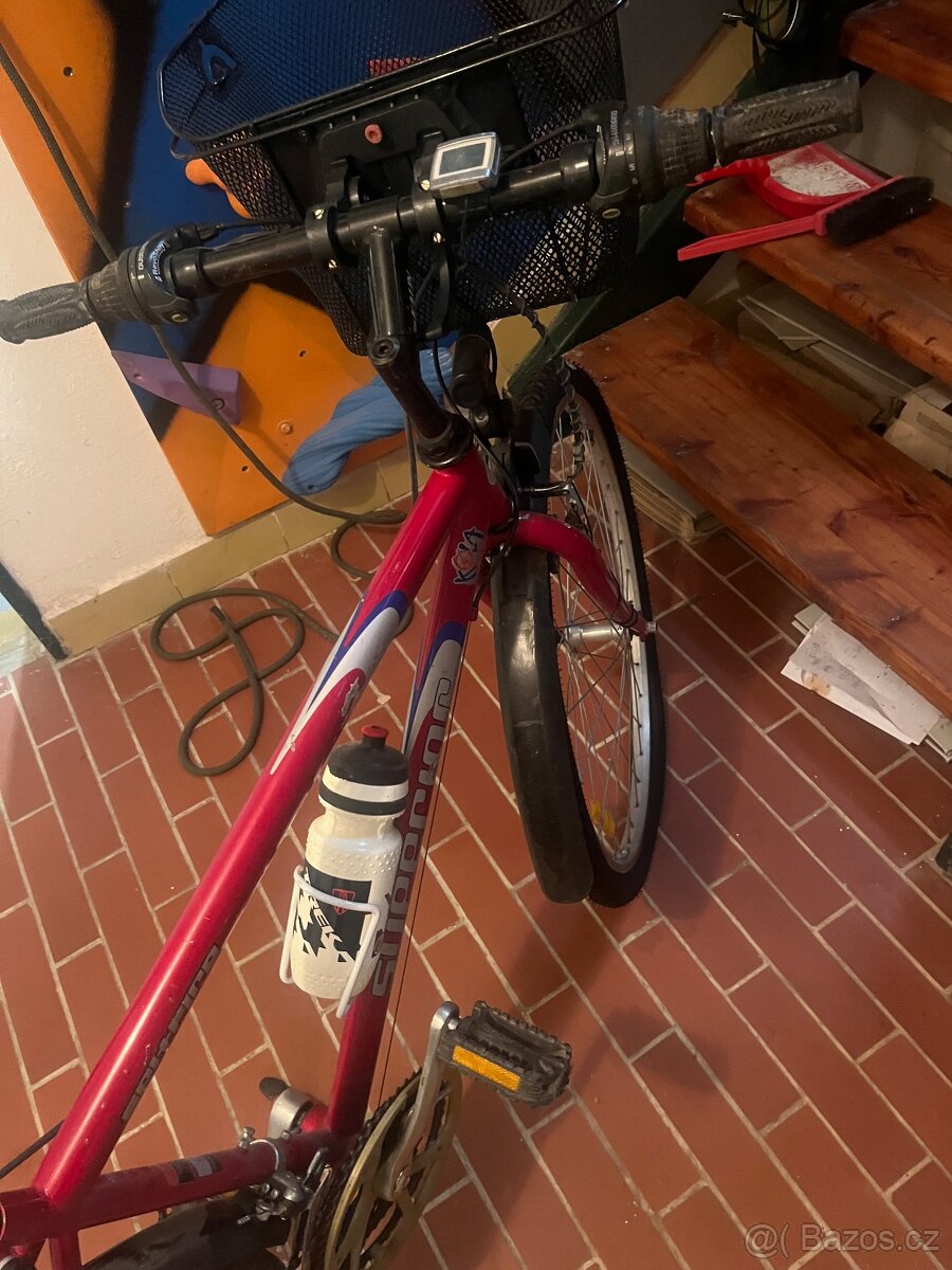 Prodám kolo 19" - 2