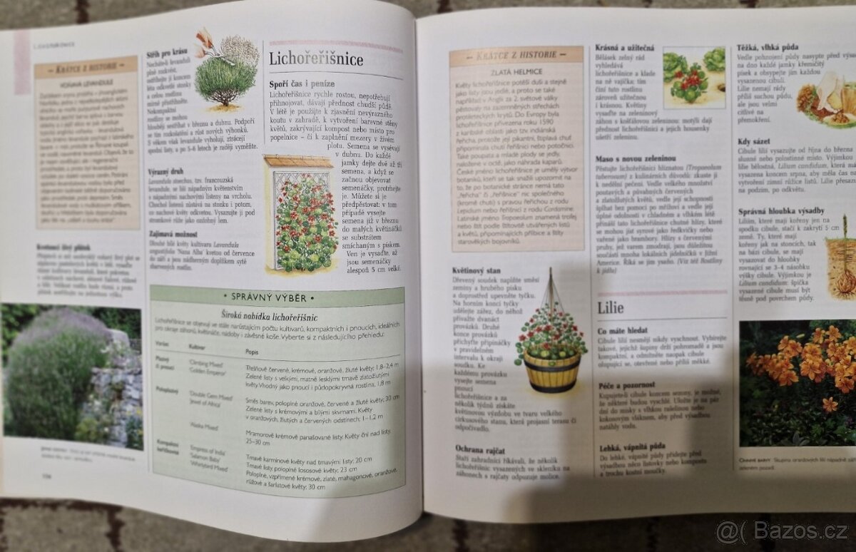 Encyklopedie, odborné, beletrie, dětské... - 2