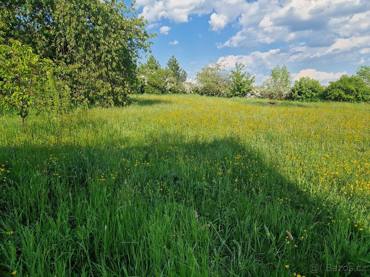 Seno - tráva zdarma - 2