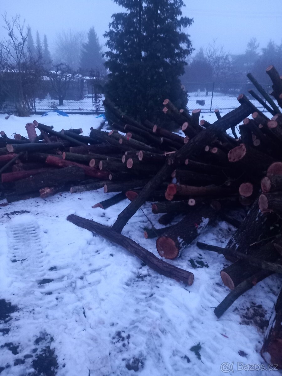 Prodám palivové drevo - 2