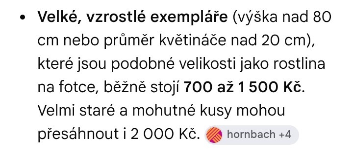 Kalous zamiolisty - 2