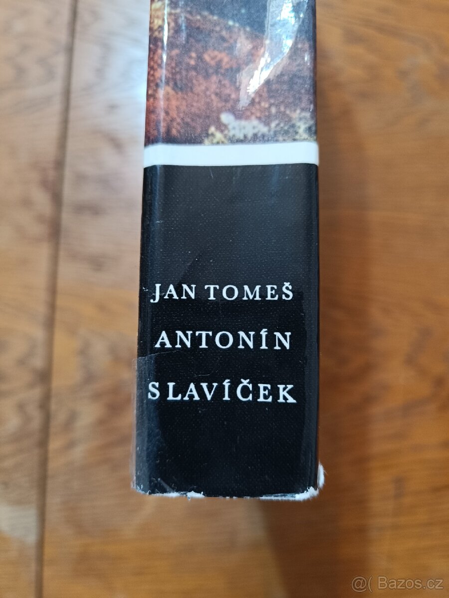 Kniha Antonín Slavíček autor: Jan Tomeš - 2